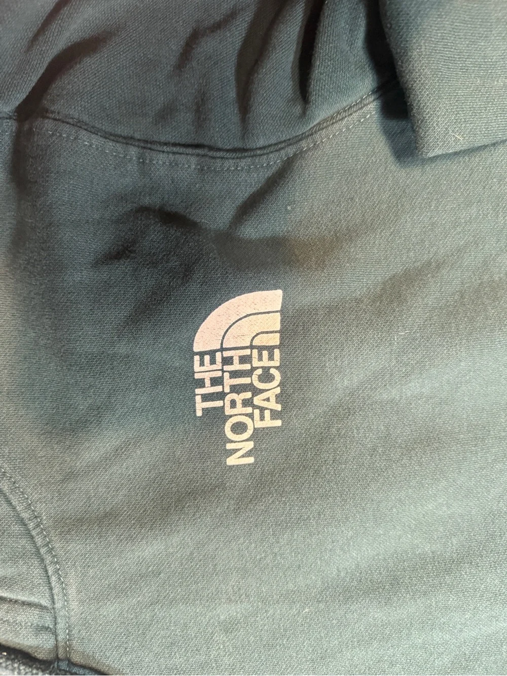 The North Face Men's Teal Green Pullover Hoodie‎